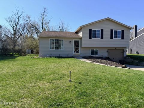Photo of 5705 Pheasant Hollow Drive, Toledo, OH 43615 (MLS # 10006048)
