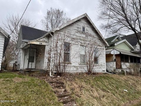 Photo of 238 Palmer Street, Toledo, OH 43608 (MLS # 10005340)