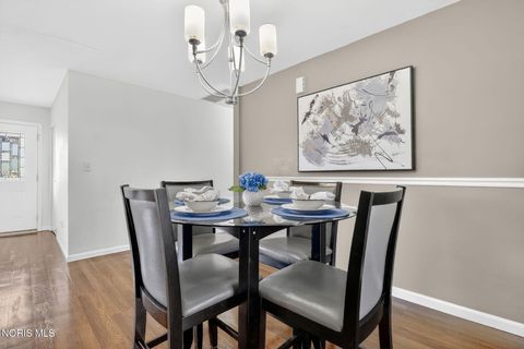 Tiny photo for 318 W South Boundary Street, Perrysburg, OH 43551 (MLS # 10006278)