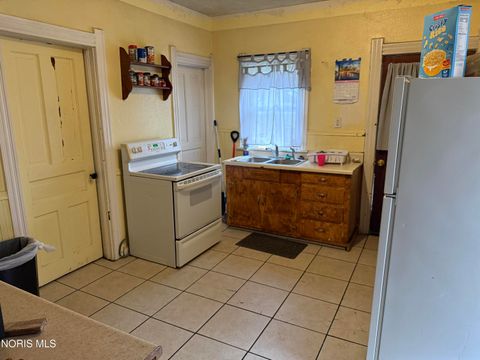 Tiny photo for 226 E Park Street, Toledo, OH 43608 (MLS # 10006249)