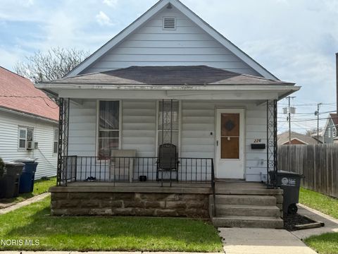 Photo of 226 E Park Street, Toledo, OH 43608 (MLS # 10006249)