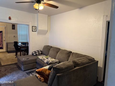 Tiny photo for 226 E Park Street, Toledo, OH 43608 (MLS # 10006249)