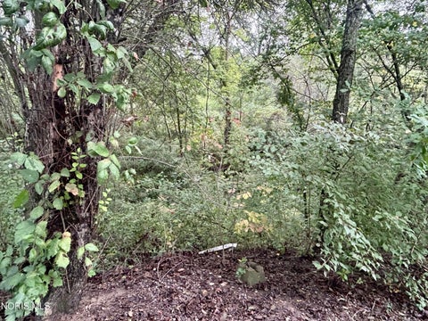 Tiny photo for 3289 Road 192, Antwerp, OH 45813 (MLS # 10013617)