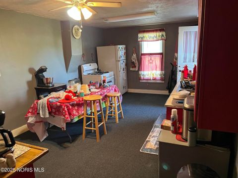 Tiny photo for 325 E North Street, McClure, OH 43534 (MLS # 10000637)