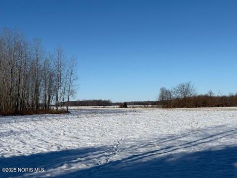 Tiny photo for 0 County Rd 2, Liberty Center, OH 43532 (MLS # 10002122)