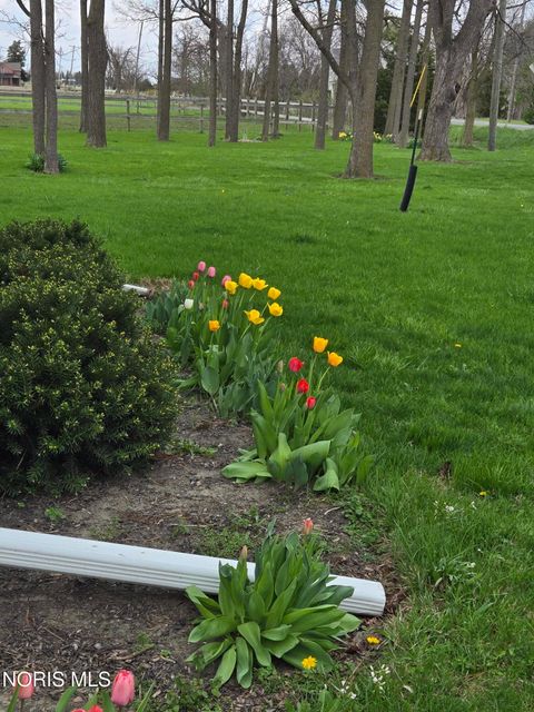 Tiny photo for 21035 Dunbridge Road, Dunbridge, OH 43414 (MLS # 10007835)