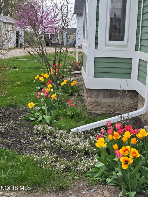 Tiny photo for 21035 Dunbridge Road, Dunbridge, OH 43414 (MLS # 10007835)