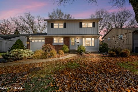 Photo of 1220 Birch Avenue, Maumee, OH 43537 (MLS # 10001678)