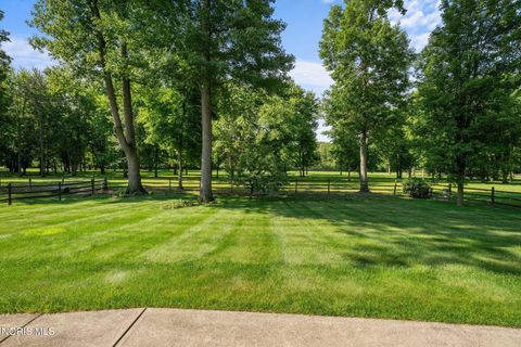 Tiny photo for 8339 Sycamore Woods Lane, Holland, OH 43528 (MLS # 10009801)