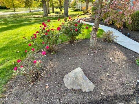 Tiny photo for 3120 Lexington Glen Boulevard, Monclova, OH 43542 (MLS # 10006438)