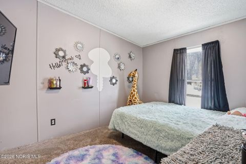 Tiny photo for 200 S Garrett Street, Nevada, OH 44849 (MLS # 10002737)