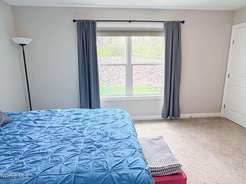 Tiny photo for 7363 Turncreek Drive, Toledo, OH 43615 (MLS # 10007123)