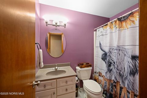 Tiny photo for 2515 Orchard Hills Boulevard, Toledo, OH 43615 (MLS # 10000614)
