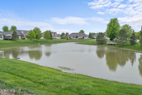 Tiny photo for 14521 Dexter Falls Road, Perrysburg, OH 43551 (MLS # 10007078)