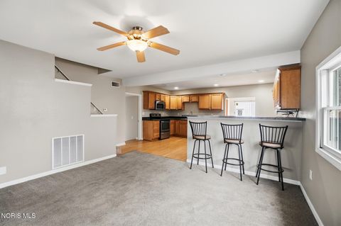 Tiny photo for 217 N East Street, Bradner, OH 43406 (MLS # 10004744)