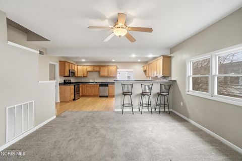 Tiny photo for 217 N East Street, Bradner, OH 43406 (MLS # 10004744)