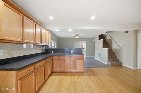 Tiny photo for 217 N East Street, Bradner, OH 43406 (MLS # 10004744)