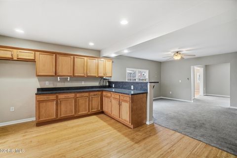 Tiny photo for 217 N East Street, Bradner, OH 43406 (MLS # 10004744)