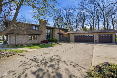 Photo of 16620 Mitchell Road, Bowling Green, OH 43402 (MLS # 10007064)