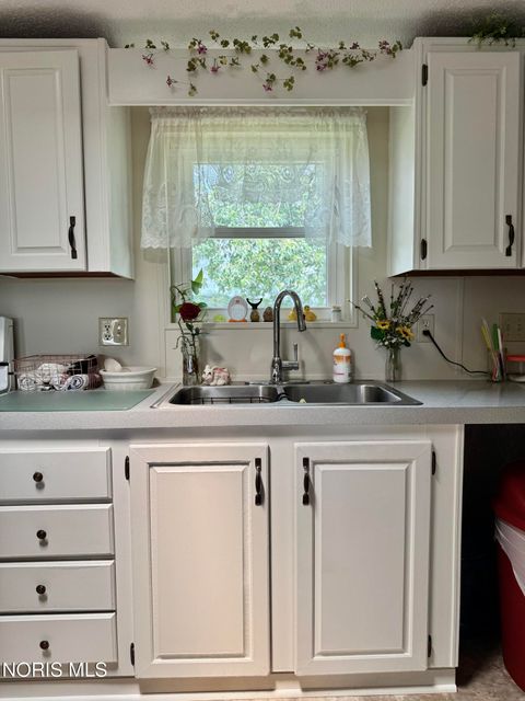 Tiny photo for 7303 Williams County C, Bryan, OH 43506 (MLS # 10008094)