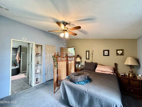 Tiny photo for 7303 Williams County C, Bryan, OH 43506 (MLS # 10008094)