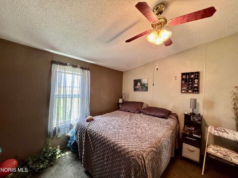 Tiny photo for 7303 Williams County C, Bryan, OH 43506 (MLS # 10008094)