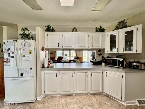 Tiny photo for 7303 Williams County C, Bryan, OH 43506 (MLS # 10008094)