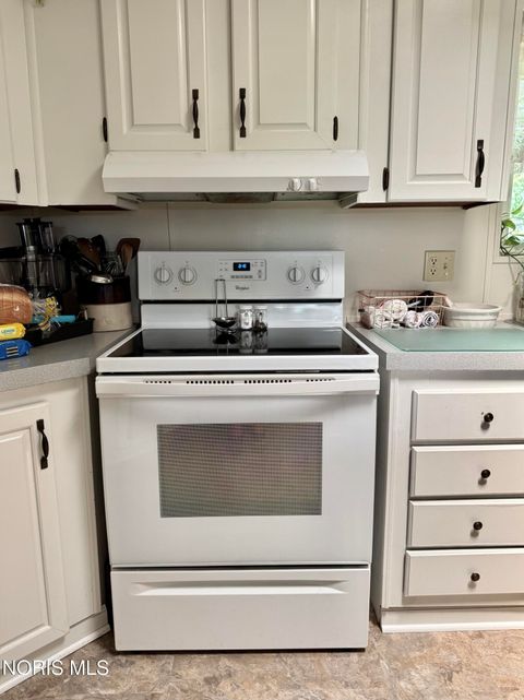 Tiny photo for 7303 Williams County C, Bryan, OH 43506 (MLS # 10008094)