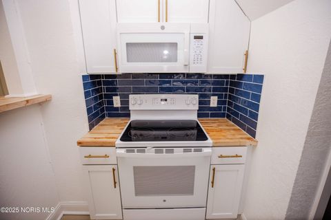 Tiny photo for 2032 Elliott Avenue, Toledo, OH 43606 (MLS # 10002275)