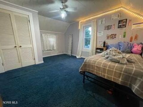 Tiny photo for 315 Pittsburgh Avenue, Holgate, OH 43527 (MLS # 10004792)