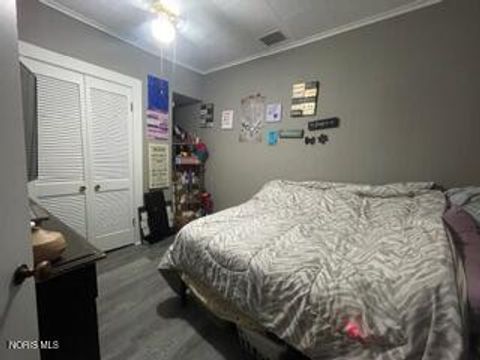 Tiny photo for 315 Pittsburgh Avenue, Holgate, OH 43527 (MLS # 10004792)