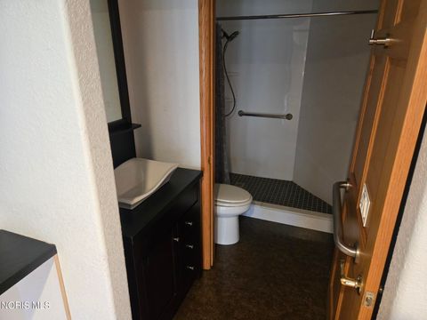 Tiny photo for 3121 County Road Ef, Swanton, OH 43558 (MLS # 10005205)