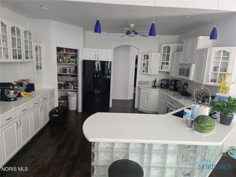 Tiny photo for 3121 County Road Ef, Swanton, OH 43558 (MLS # 10005205)