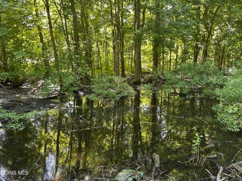 Tiny photo for 129 Sunset Boulevard, Montpelier, OH 43543 (MLS # 10008463)