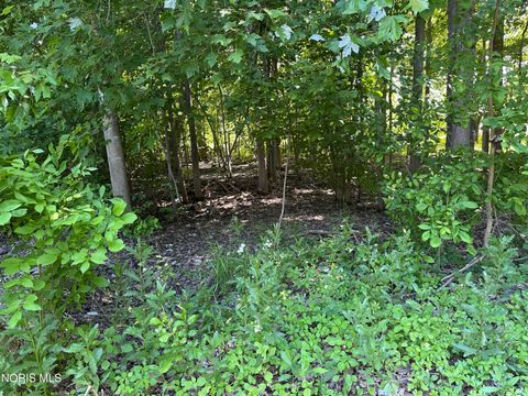 Tiny photo for 129 Sunset Boulevard, Montpelier, OH 43543 (MLS # 10008463)