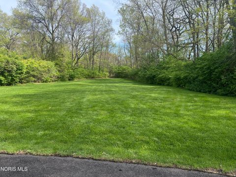 Tiny photo for 26250 W River Road, Perrysburg, OH 43551 (MLS # 10007086)