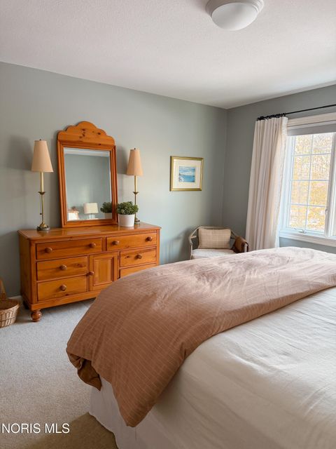 Tiny photo for 26250 W River Road, Perrysburg, OH 43551 (MLS # 10007086)