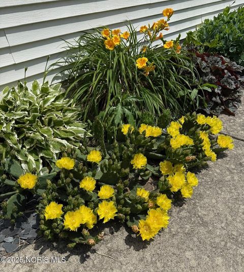 Tiny photo for 8004 Silverstone Drive, Waterville, OH 43566 (MLS # 10001081)