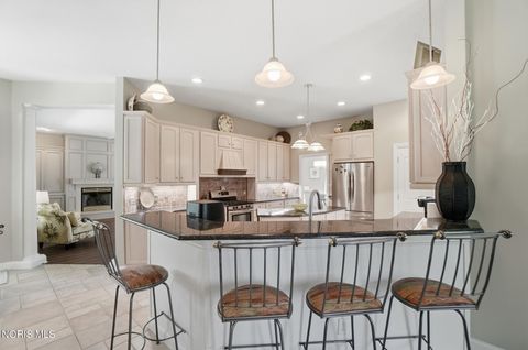 Tiny photo for 8766 Willow Pond Boulevard, Sylvania, OH 43560 (MLS # 10007634)