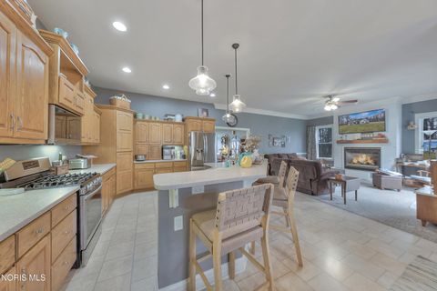 Tiny photo for 21530 County Road A, Archbold, OH 43502 (MLS # 10004607)