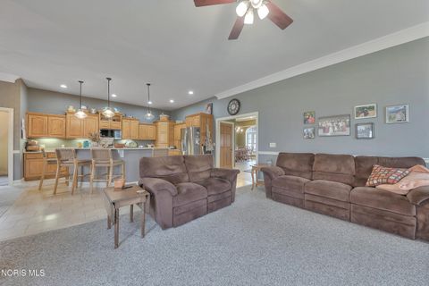 Tiny photo for 21530 County Road A, Archbold, OH 43502 (MLS # 10004607)