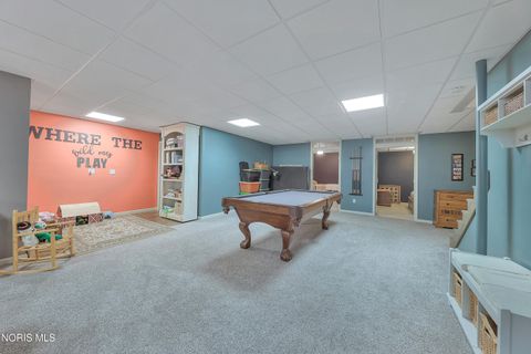 Tiny photo for 21530 County Road A, Archbold, OH 43502 (MLS # 10004607)