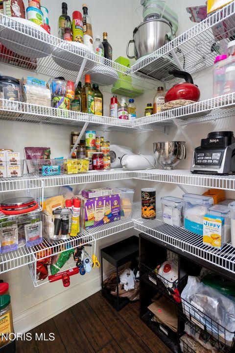 Tiny photo for 9541 Newbury Lane, Whitehouse, OH 43571 (MLS # 10004569)