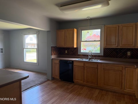 Tiny photo for 1004 Alger Street, Fremont, OH 43420 (MLS # 10010030)