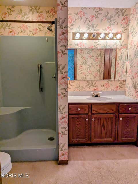 Tiny photo for 205 W Curtis Street, Stryker, OH 43557 (MLS # 10011869)