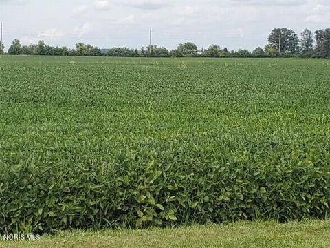 Vacant Land For Sale - Ohio 53<br/> Wyandot County, Upper Sandusky, OH 43351