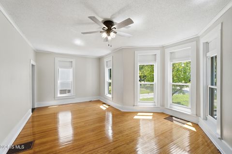 Tiny photo for 232 N Franklin Street, Wauseon, OH 43567 (MLS # 10010467)