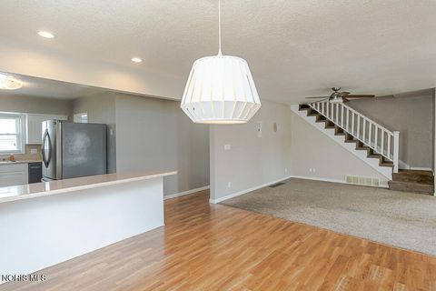 Tiny photo for 812 W College Avenue, Woodville, OH 43469 (MLS # 10006755)