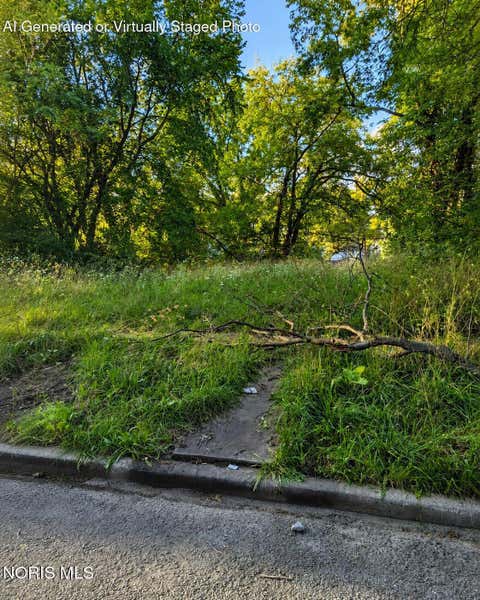Vacant Land For Sale - 1502 Norwood Avenue<br/> Toledo, OH 43607
