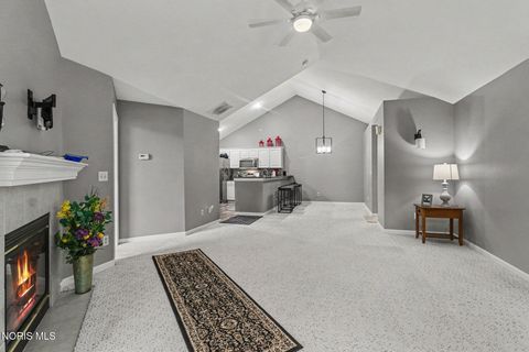 Tiny photo for 8367 Fossil Avenue, Sylvania, OH 43560 (MLS # 10007963)